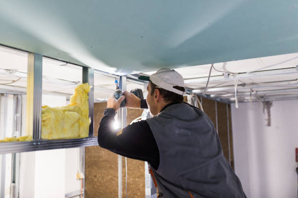 Best Local Insulation Services  in Mineral Point, WI
